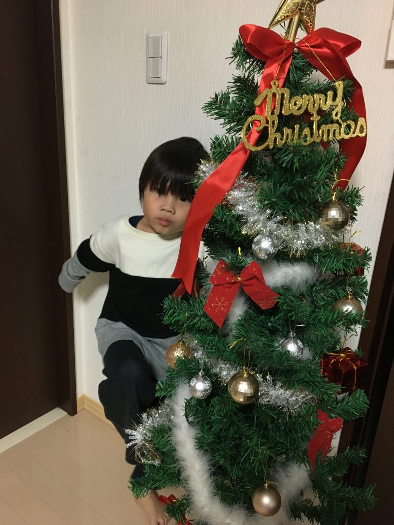 Diy クリスマスツリーをアレンジしてみた件 親バカ日本代表mr ブラックが好き勝手に語りつくす部屋